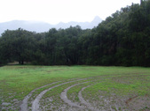 Enlarge photo 109