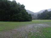 Enlarge photo 110