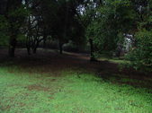 Enlarge photo 112