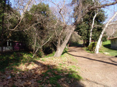 Enlarge photo 1