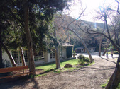 Enlarge photo 21