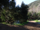 Enlarge photo 29