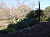 Enlarge photo 31