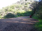 Enlarge photo 32