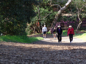 Enlarge photo 33