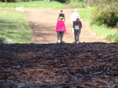 Enlarge photo 37