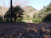 Enlarge photo 38