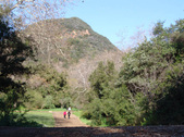 Enlarge photo 39