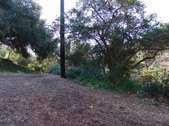 Enlarge photo 41