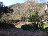 Enlarge photo 42