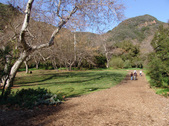 Enlarge photo 43