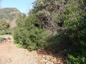 Enlarge photo 44