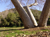 Enlarge photo 45