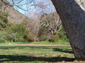 Enlarge photo 46