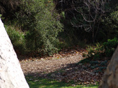 Enlarge photo 47