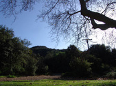Enlarge photo 48