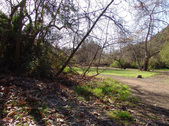 Enlarge photo 49