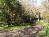 Enlarge photo 51