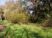 Enlarge photo 52