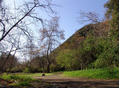 Enlarge photo 53