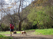 Enlarge photo 54