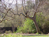 Enlarge photo 56