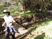 Enlarge photo 57