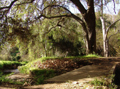 Enlarge photo 59