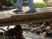 Enlarge photo 64