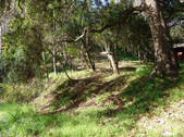Enlarge photo 65