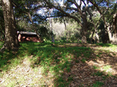 Enlarge photo 66