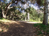 Enlarge photo 67