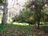 Enlarge photo 68
