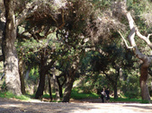 Enlarge photo 69