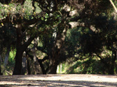 Enlarge photo 70
