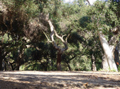 Enlarge photo 71