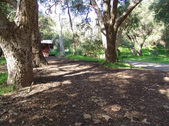 Enlarge photo 72