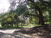 Enlarge photo 73