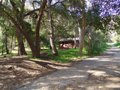 Enlarge photo 74