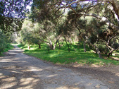 Enlarge photo 75