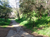Enlarge photo 77