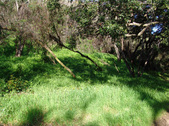 Enlarge photo 78
