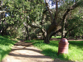 Enlarge photo 79