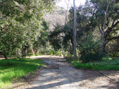 Enlarge photo 80