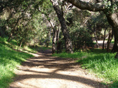 Enlarge photo 81