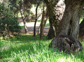 Enlarge photo 82