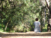 Enlarge photo 83