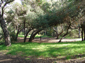 Enlarge photo 86