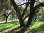 Enlarge photo 87