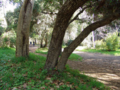 Enlarge photo 89